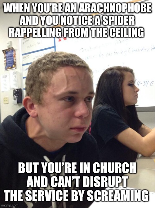 Hold fart | WHEN YOU’RE AN ARACHNOPHOBE AND YOU NOTICE A SPIDER RAPPELLING FROM THE CEILING; BUT YOU’RE IN CHURCH AND CAN’T DISRUPT THE SERVICE BY SCREAMING | image tagged in hold fart | made w/ Imgflip meme maker