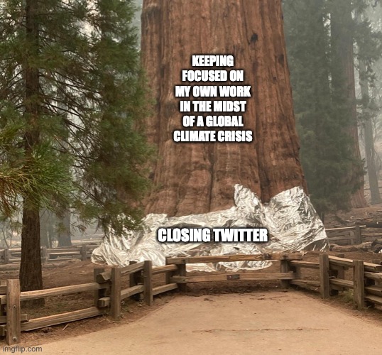 Giant sequoia wrapped in foil | KEEPING FOCUSED ON MY OWN WORK IN THE MIDST OF A GLOBAL CLIMATE CRISIS; CLOSING TWITTER | image tagged in sequoia national park,wildfire,despair | made w/ Imgflip meme maker