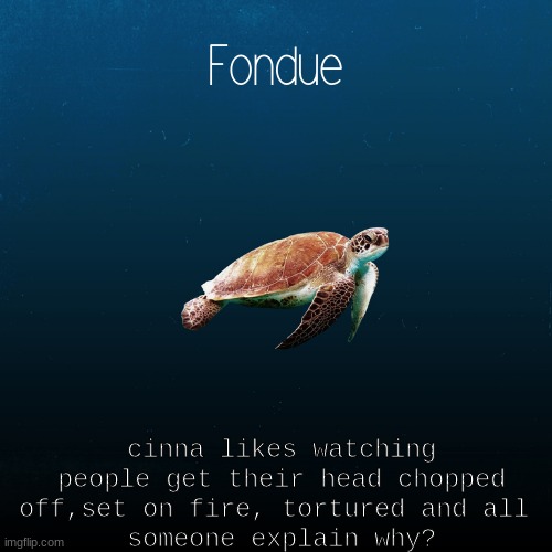 turtle template-Fondue | cinna likes watching people get their head chopped off,set on fire, tortured and all 
someone explain why? | image tagged in turtle template-fondue | made w/ Imgflip meme maker