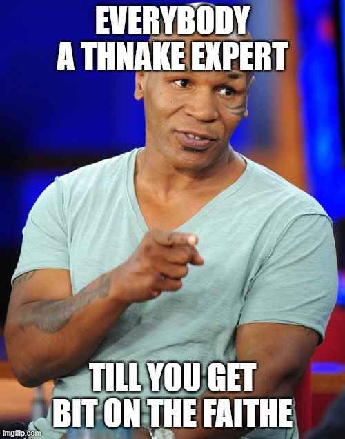 Snake Expert | EVERYBODY A THNAKE EXPERT; TILL YOU GET BIT ON THE FAITHE | image tagged in mike tyson | made w/ Imgflip meme maker