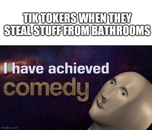 It's dumb. This is why I hate tiktok | TIK TOKERS WHEN THEY STEAL STUFF FROM BATHROOMS | image tagged in i have achieved comedy | made w/ Imgflip meme maker
