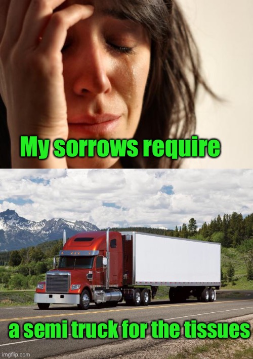 My sorrows require a semi truck for the tissues | image tagged in memes,first world problems,trucking | made w/ Imgflip meme maker