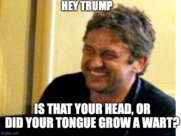 IS THAT YOUR HEAD, OR DID YOUR TONGUE GROW A WART? HEY TRUMP | made w/ Imgflip meme maker