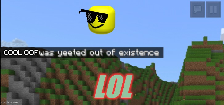 YEET!!!!!!!!!!!!!!!!!!!!!!!!!!!!!!!!!!!! | COOL OOF; LOL | image tagged in minecraft death | made w/ Imgflip meme maker