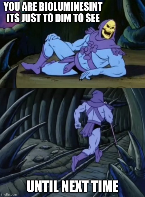 Disturbing Facts Skeletor |  YOU ARE BIOLUMINESINT ITS JUST TO DIM TO SEE; UNTIL NEXT TIME | image tagged in disturbing facts skeletor | made w/ Imgflip meme maker