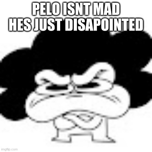 pelo aint mad | PELO ISNT MAD HES JUST DISAPOINTED | image tagged in funny memes,funny | made w/ Imgflip meme maker