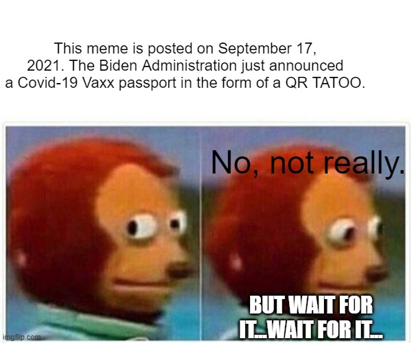 Since he's withholding medicine from Florida...it may happen. | This meme is posted on September 17, 2021. The Biden Administration just announced a Covid-19 Vaxx passport in the form of a QR TATOO. No, not really. BUT WAIT FOR IT...WAIT FOR IT... | image tagged in monkey puppet,covid-19,vaccines | made w/ Imgflip meme maker