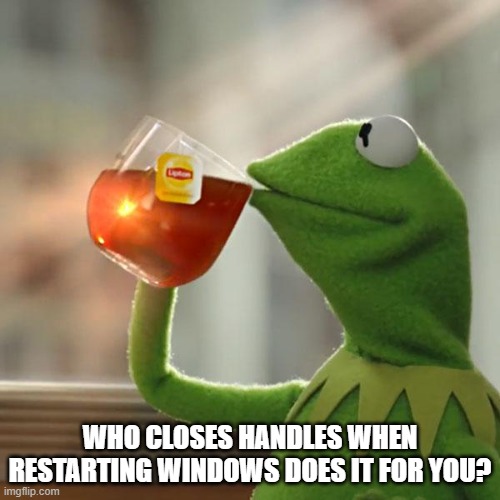 But That's None Of My Business Meme | WHO CLOSES HANDLES WHEN RESTARTING WINDOWS DOES IT FOR YOU? | image tagged in memes,but that's none of my business,kermit the frog,programminghumor | made w/ Imgflip meme maker