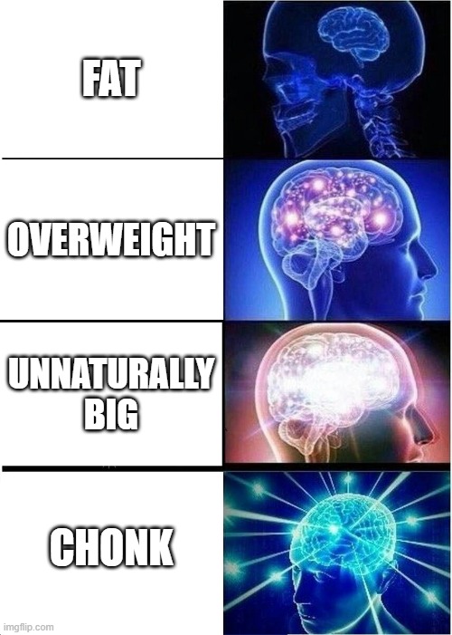 how to say fat | FAT; OVERWEIGHT; UNNATURALLY BIG; CHONK | image tagged in memes,expanding brain,chonk | made w/ Imgflip meme maker