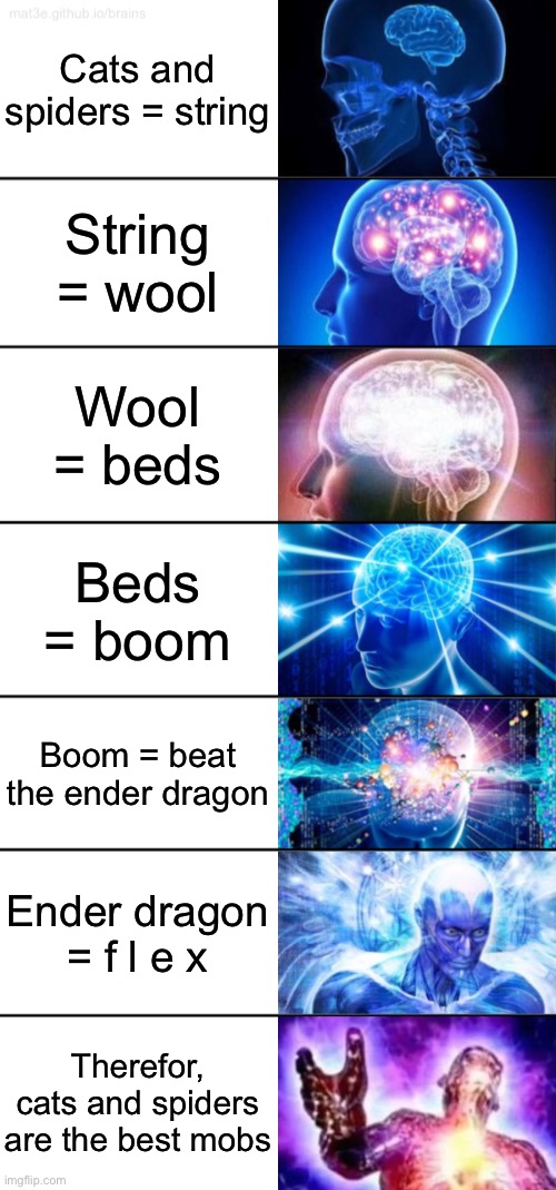 7-Tier Expanding Brain | Cats and spiders = string; String = wool; Wool = beds; Beds = boom; Boom = beat the ender dragon; Ender dragon = f l e x; Therefor, cats and spiders are the best mobs | image tagged in 7-tier expanding brain | made w/ Imgflip meme maker