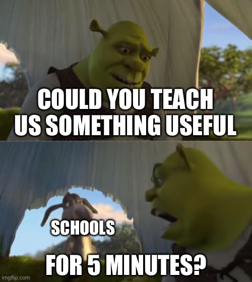 Could you not ___ for 5 MINUTES | COULD YOU TEACH US SOMETHING USEFUL; FOR 5 MINUTES? SCHOOLS | image tagged in could you not ___ for 5 minutes | made w/ Imgflip meme maker