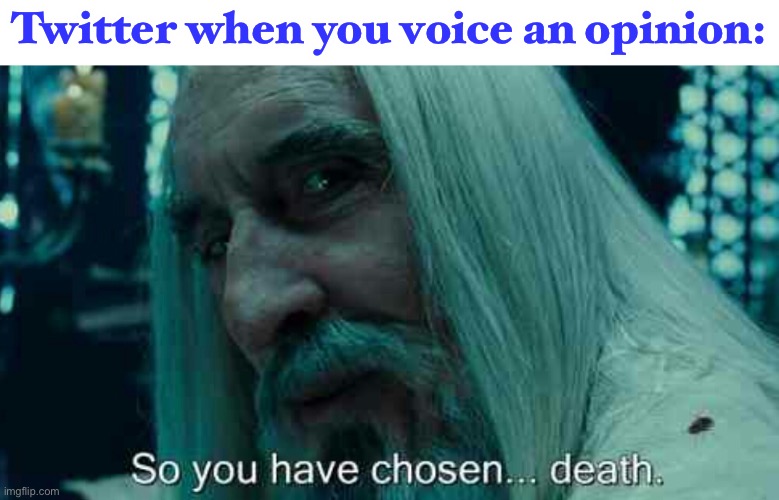 LOL | Twitter when you voice an opinion: | image tagged in so you have chosen death | made w/ Imgflip meme maker