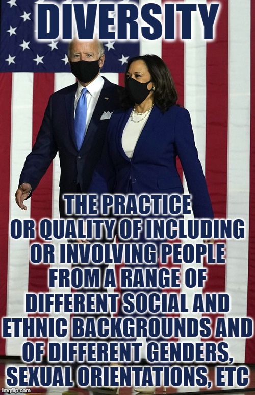 DIVERSITY | DIVERSITY; THE PRACTICE OR QUALITY OF INCLUDING OR INVOLVING PEOPLE FROM A RANGE OF DIFFERENT SOCIAL AND ETHNIC BACKGROUNDS AND OF DIFFERENT GENDERS, SEXUAL ORIENTATIONS, ETC | image tagged in diversity,ethnic,gender,sexual orientation,include,social | made w/ Imgflip meme maker