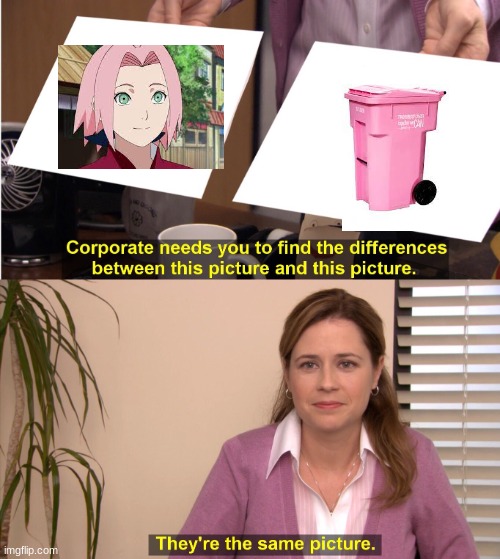 pinkt | image tagged in memes,they're the same picture | made w/ Imgflip meme maker