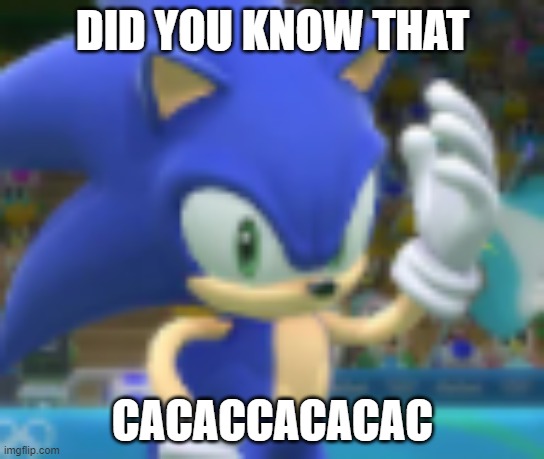 interesting facts! | DID YOU KNOW THAT; CACACCACACAC | image tagged in sonic | made w/ Imgflip meme maker