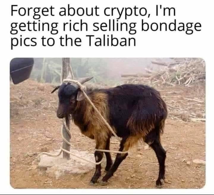 Forget about crypto, I'm getting rich selling bondage pics to the Taliban! | image tagged in taliban,goat shaggers,goat love,nomoregoatshaggers | made w/ Imgflip meme maker