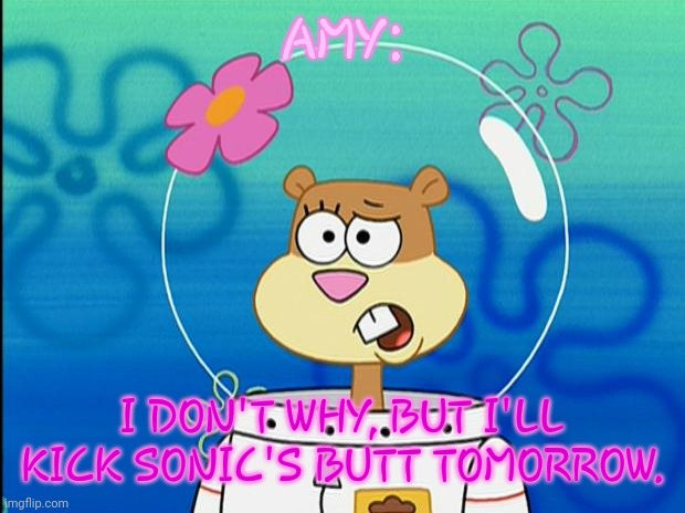 sonamy in a nutshell | AMY:; I DON'T WHY, BUT I'LL KICK SONIC'S BUTT TOMORROW. | image tagged in sandy i don't know why | made w/ Imgflip meme maker