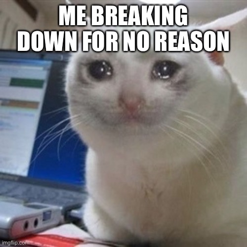 … | ME BREAKING DOWN FOR NO REASON | image tagged in crying cat,breakdown | made w/ Imgflip meme maker