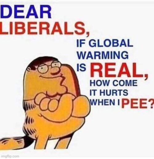 Should it go to politics¿ | made w/ Imgflip meme maker