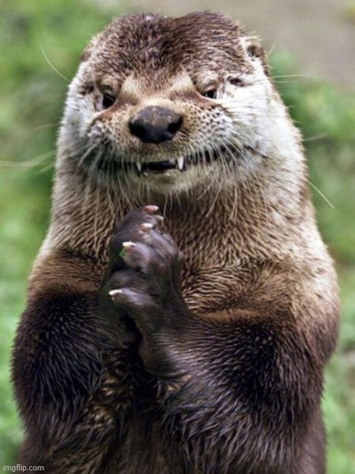 Evil Otter Meme | image tagged in memes,evil otter | made w/ Imgflip meme maker
