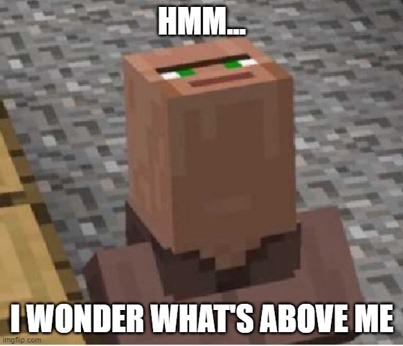 Minecraft Villager Looking Up | HMM... I WONDER WHAT'S ABOVE ME | image tagged in minecraft villager looking up,hmm,anti meme | made w/ Imgflip meme maker
