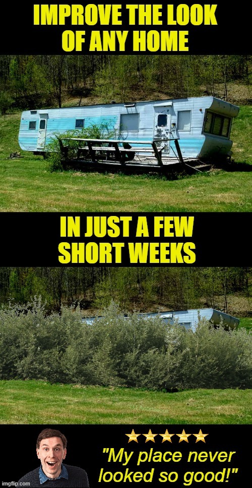 House Beautiful: Rural Edition | IMPROVE THE LOOK OF ANY HOME; IN JUST A FEW SHORT WEEKS; DJ ANOMALOUS; "MY PLACE NEVER LOOKED SO GOOD!" | image tagged in trailer,improvise adapt overcome,bush,camouflage,customer | made w/ Imgflip meme maker