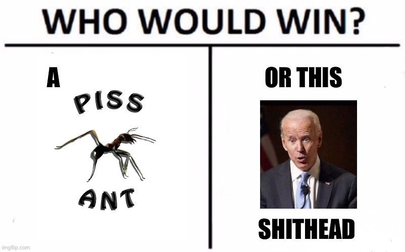 Piss Ant VS Shit Head | A; OR THIS; SHITHEAD | image tagged in memes,who would win,orncap appap cucksap allsbap,idenbap stseap ongdap,a real nut job | made w/ Imgflip meme maker