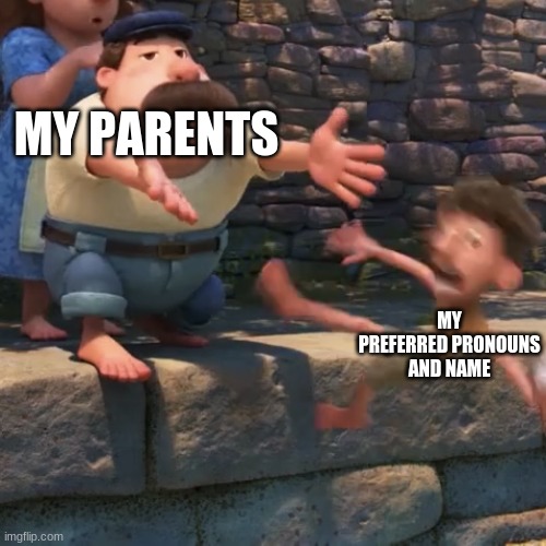 :( | MY PARENTS; MY PREFERRED PRONOUNS AND NAME | image tagged in man throws child into water | made w/ Imgflip meme maker