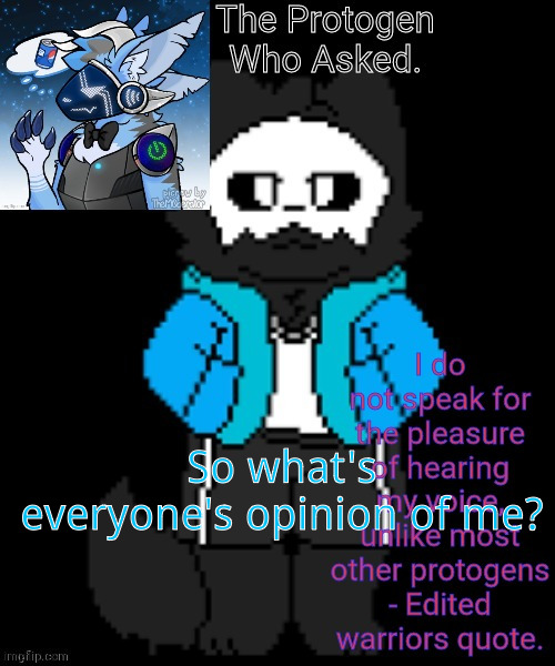 Used to be Elias the protogen | So what's everyone's opinion of me? | image tagged in protogen template | made w/ Imgflip meme maker