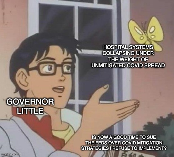 Governor Little sues feds amid rampant covid surge | HOSPITAL SYSTEMS COLLAPSING UNDER THE WEIGHT OF UNMITIGATED COVID SPREAD; GOVERNOR LITTLE; IS NOW A GOOD TIME TO SUE THE FEDS OVER COVID MITIGATION STRATEGIES I REFUSE TO IMPLEMENT? | image tagged in is this butterfly,idaho | made w/ Imgflip meme maker