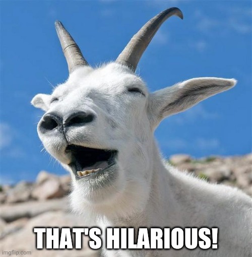 Laughing Goat Meme | THAT'S HILARIOUS! | image tagged in memes,laughing goat | made w/ Imgflip meme maker