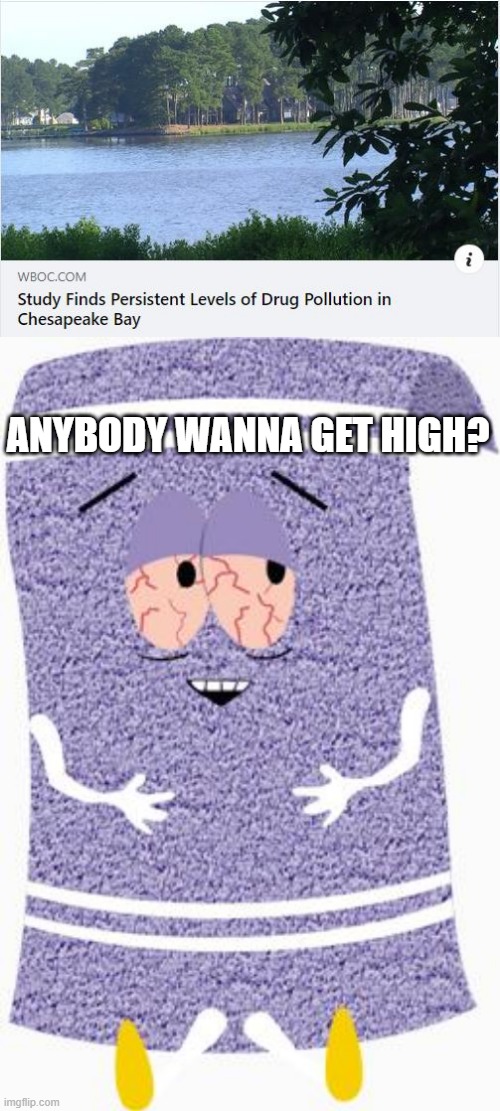 They'll Be Drinking Bay Water Soon...... | ANYBODY WANNA GET HIGH? | image tagged in towelie | made w/ Imgflip meme maker