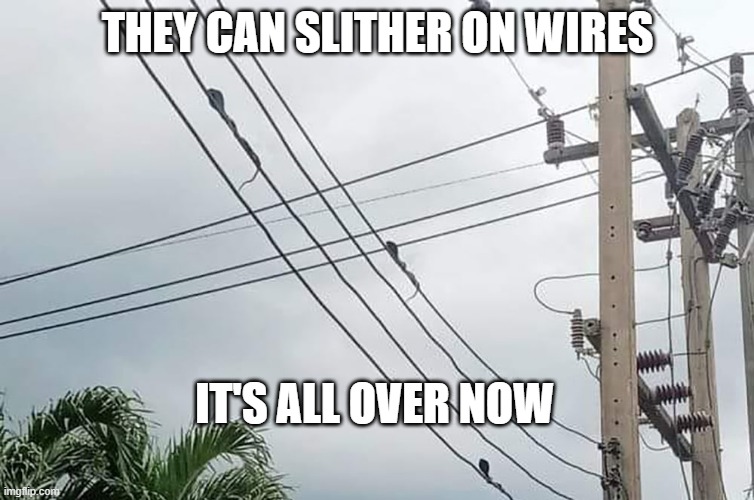 Death From Above | THEY CAN SLITHER ON WIRES; IT'S ALL OVER NOW | image tagged in snakes | made w/ Imgflip meme maker