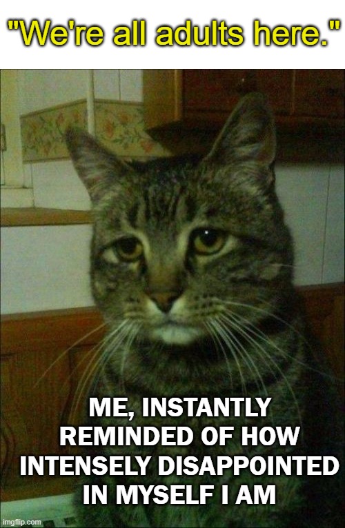 Depressed Cat Meme | "We're all adults here."; ME, INSTANTLY REMINDED OF HOW INTENSELY DISAPPOINTED IN MYSELF I AM | image tagged in memes,depressed cat | made w/ Imgflip meme maker