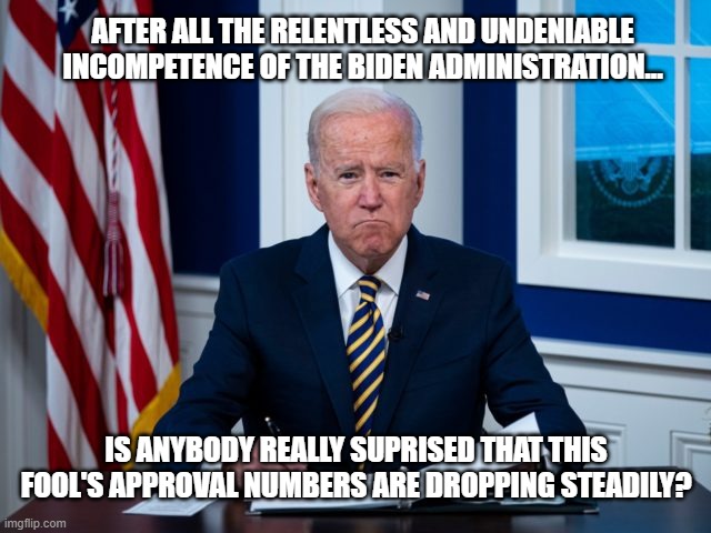 What a monumental failure | AFTER ALL THE RELENTLESS AND UNDENIABLE INCOMPETENCE OF THE BIDEN ADMINISTRATION... IS ANYBODY REALLY SUPRISED THAT THIS FOOL'S APPROVAL NUMBERS ARE DROPPING STEADILY? | image tagged in joe biden,failure,democrats,liberals,incompetence,senile | made w/ Imgflip meme maker