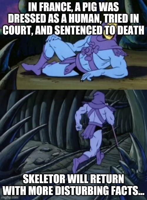 Pigs in france | IN FRANCE, A PIG WAS DRESSED AS A HUMAN, TRIED IN COURT, AND SENTENCED TO DEATH; SKELETOR WILL RETURN WITH MORE DISTURBING FACTS... | image tagged in disturbing facts skeletor | made w/ Imgflip meme maker