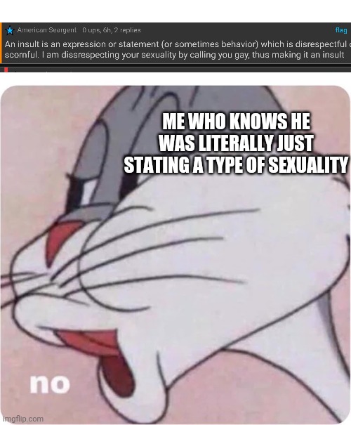 Just no | ME WHO KNOWS HE WAS LITERALLY JUST STATING A TYPE OF SEXUALITY | image tagged in bugs bunny no | made w/ Imgflip meme maker