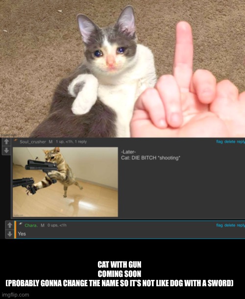 Also this episode of cat with a gun happens before episode 1 of dog with a sword, you’ll find out why | CAT WITH GUN
COMING SOON
(PROBABLY GONNA CHANGE THE NAME SO IT’S NOT LIKE DOG WITH A SWORD) | made w/ Imgflip meme maker