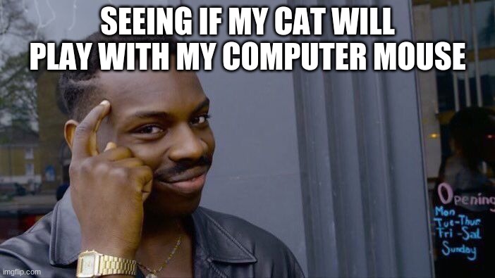 Roll Safe Think About It | SEEING IF MY CAT WILL PLAY WITH MY COMPUTER MOUSE | image tagged in memes,roll safe think about it,cat | made w/ Imgflip meme maker