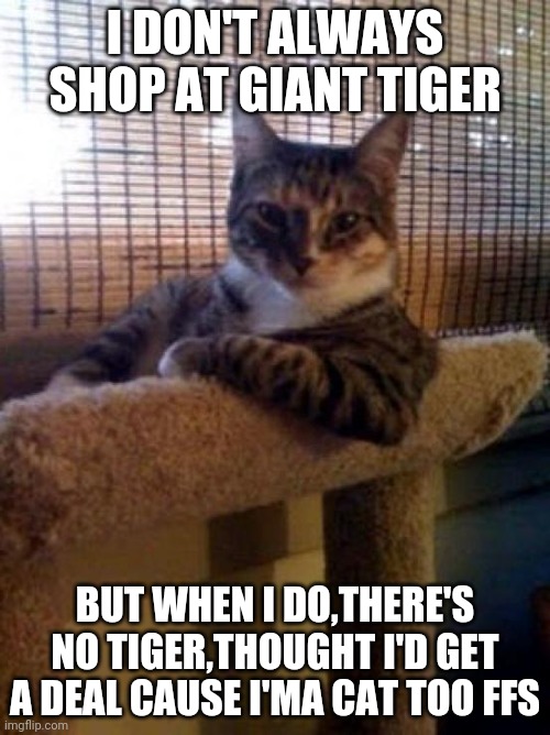 The Most Interesting Cat In The World | I DON'T ALWAYS SHOP AT GIANT TIGER; BUT WHEN I DO,THERE'S NO TIGER,THOUGHT I'D GET A DEAL CAUSE I'MA CAT TOO FFS | image tagged in memes,the most interesting cat in the world | made w/ Imgflip meme maker