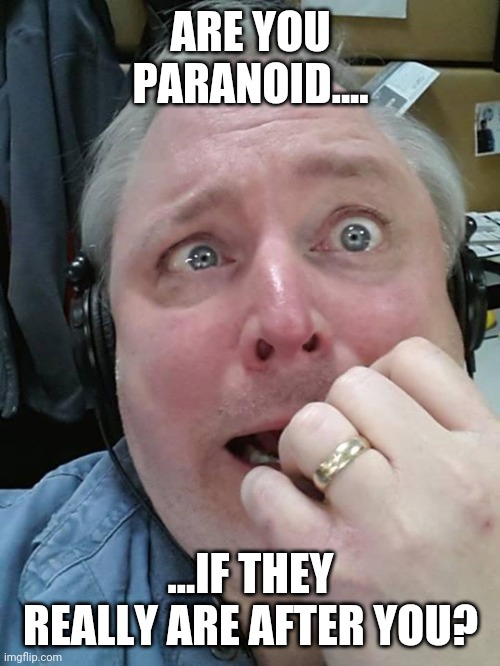 Paranoid Fear Guy | ARE YOU PARANOID.... ...IF THEY REALLY ARE AFTER YOU? | image tagged in paranoid fear guy | made w/ Imgflip meme maker