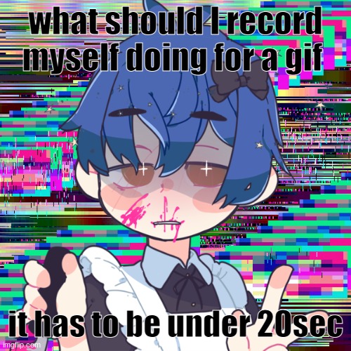 honu is mafia | what should I record myself doing for a gif; it has to be under 20sec | image tagged in honu is mafia | made w/ Imgflip meme maker