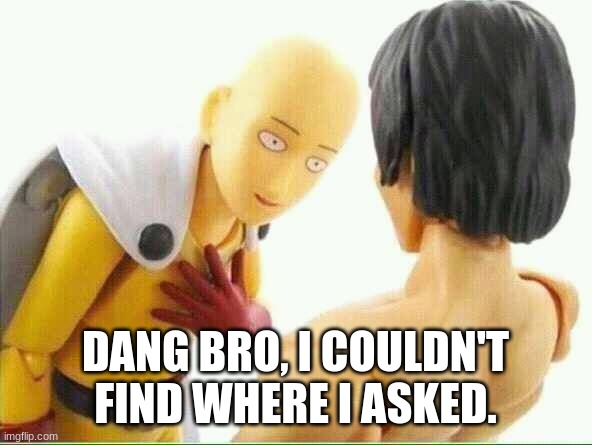 Did I ask you  | DANG BRO, I COULDN'T FIND WHERE I ASKED. | image tagged in did i ask you | made w/ Imgflip meme maker