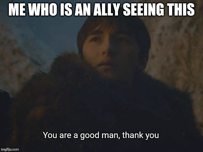 You are a good man, thank you | ME WHO IS AN ALLY SEEING THIS | image tagged in you are a good man thank you | made w/ Imgflip meme maker