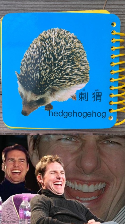 rest in peace whoever tried to learn English with this | image tagged in tom cruise laugh,engrish,hedgehog,you had one job | made w/ Imgflip meme maker