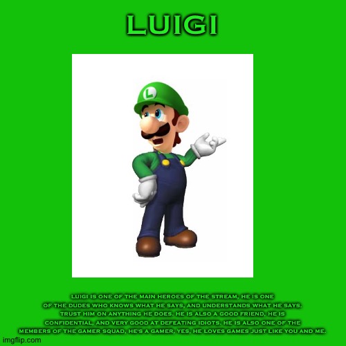 Luigi Bio | LUIGI; LUIGI IS ONE OF THE MAIN HEROES OF THE STREAM, HE IS ONE OF THE DUDES WHO KNOWS WHAT HE SAYS, AND UNDERSTANDS WHAT HE SAYS. TRUST HIM ON ANYTHING HE DOES. HE IS ALSO A GOOD FRIEND, HE IS CONFIDENTIAL, AND VERY GOOD AT DEFEATING IDIOTS. HE IS ALSO ONE OF THE MEMBERS OF THE GAMER SQUAD, HE'S A GAMER, YES, HE LOVES GAMES JUST LIKE YOU AND ME. | made w/ Imgflip meme maker