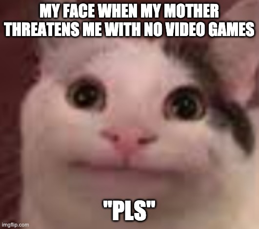 Poilite Pls | MY FACE WHEN MY MOTHER THREATENS ME WITH NO VIDEO GAMES; "PLS" | image tagged in polite cat | made w/ Imgflip meme maker