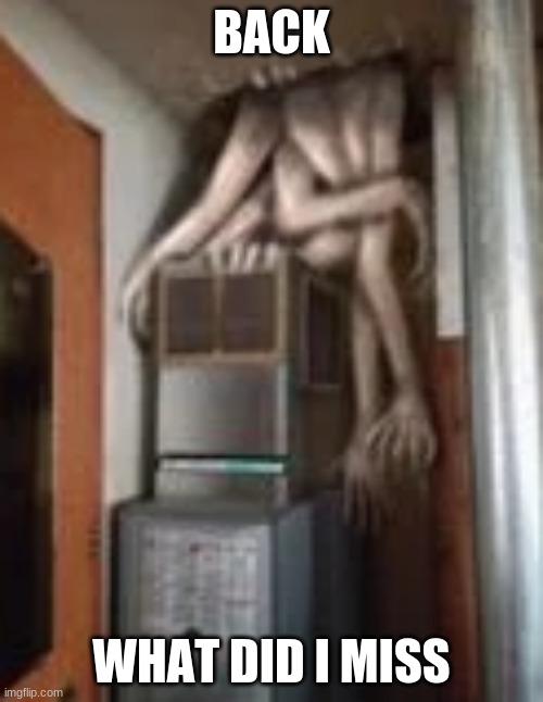 Clump | BACK; WHAT DID I MISS | image tagged in clump | made w/ Imgflip meme maker