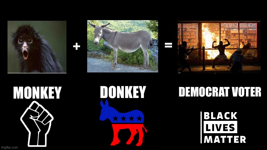 Recipe for BLM disaster | =; +; DONKEY; DEMOCRAT VOTER; MONKEY | image tagged in black rectangle,memes,black lives matter,racist,riot,democrat | made w/ Imgflip meme maker