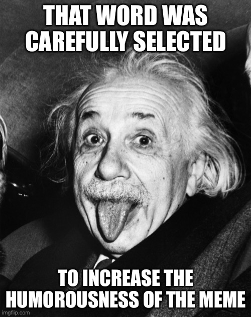 Einstein | THAT WORD WAS CAREFULLY SELECTED TO INCREASE THE HUMOROUSNESS OF THE MEME | image tagged in einstein | made w/ Imgflip meme maker
